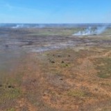 focos de calor pantanal