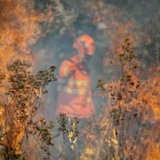 incêndios no pantanal focos de calor queimadas bombeiros foto Christiano Antonucci Secom