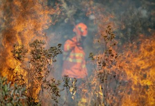incêndios no pantanal focos de calor queimadas bombeiros foto Christiano Antonucci Secom