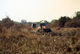 aceiros no pantanal foto marcos vergueiro secom mt
