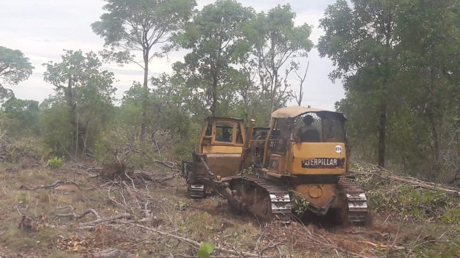 Sema flagra desmatamento em Itiquira Foto: Secretaria de Estado de Meio Ambiente de Mato Grosso