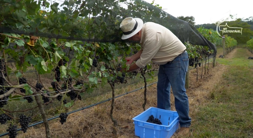 locanda do vale vinho mt sustentável foto leandro balbino canal rural mato grosso1