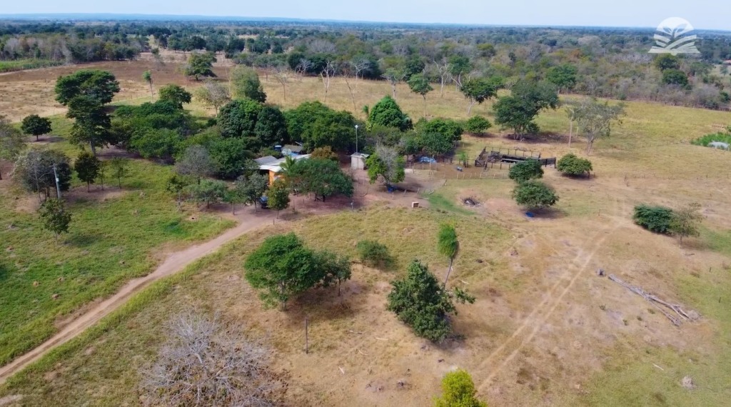 senar transforma ateg leite foto canal rural mato grosso