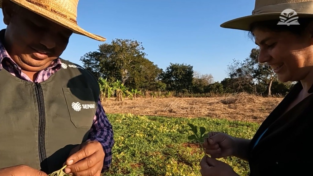 senar transforma olericultura ateg poconé foto israel baumann canal rural mato grosso3