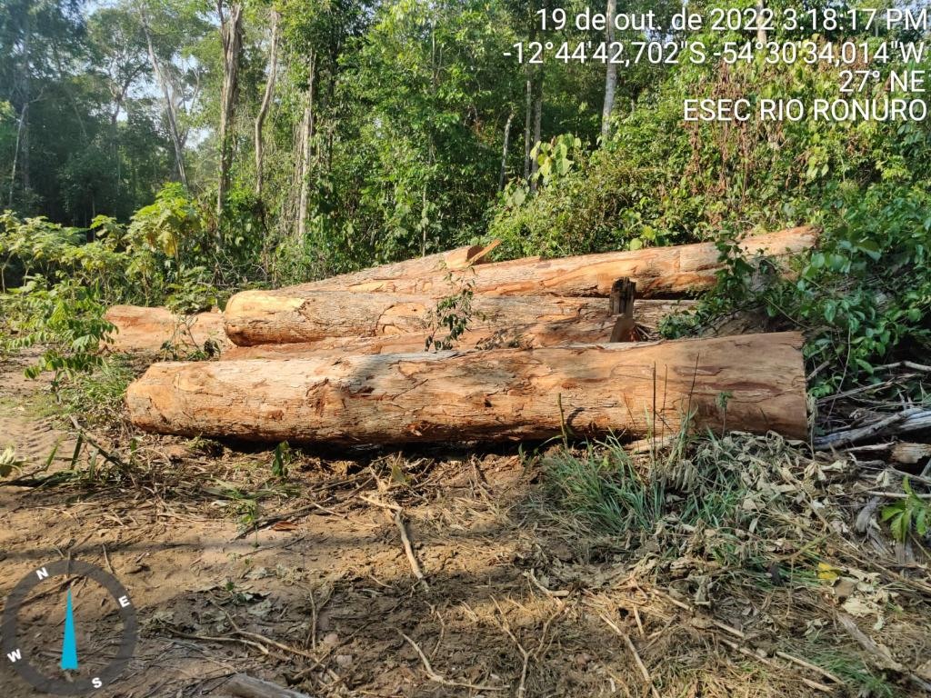 Operação Ronuro desmatamento ilegal Policia Civil de Mato Grosso