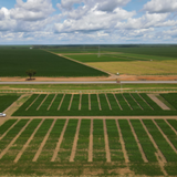 Novo projeto sobre a soja de Mato Grosso irá ampliar resultados e informações nesta segunda edição