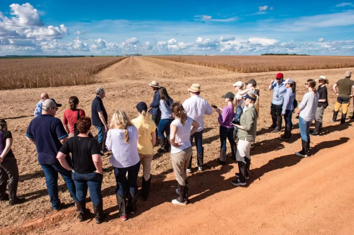 Visita de noruegueses e suecos na Amaggi em Mato Grosso