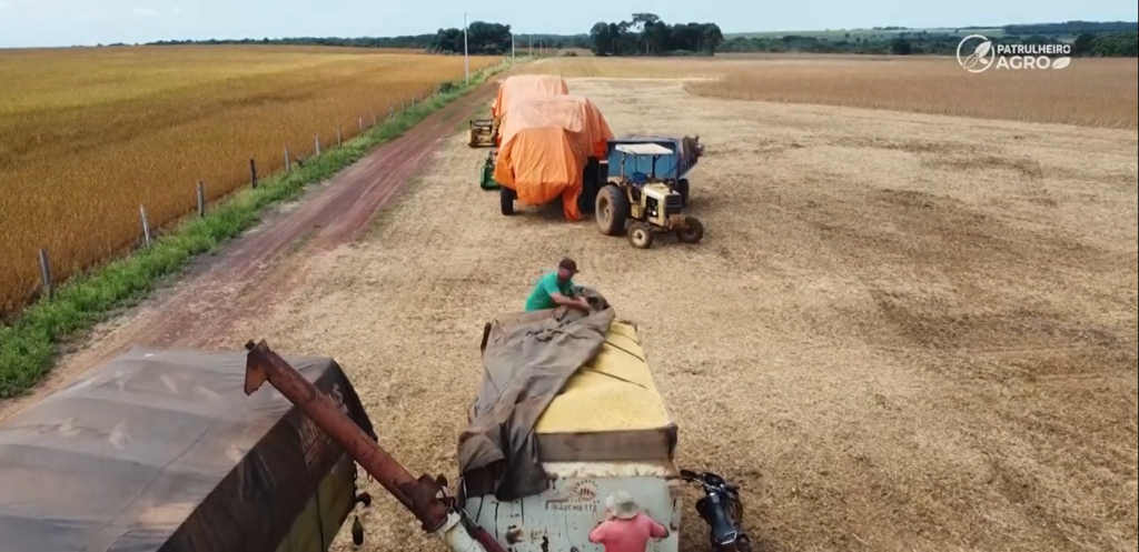 Produtores carregando caminhão de soja 