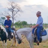 Prosa com o Deva cavalo equoterapia