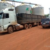 Funcionário de fazenda é detido em MT por auxiliar furto de três cargas de soja