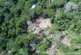 PF faz operação contra desmatamento em terra indígena em Mato Grosso