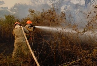 Combate aos incêndios no Pantanal, em Poconé Mayke Toscano Secom Queimadas