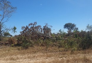Desmatamento Ilegal Cocalinho Mato Grosso foto Sema-MT