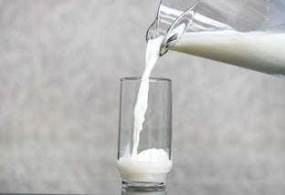 leite - pecuária leiteira