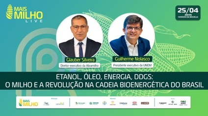 Live Mais Milho: O milho e a revolução na cadeia bioenergética do Brasil