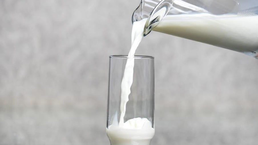 leite - pecuária leiteira