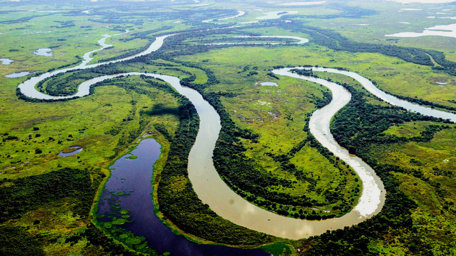 Pantanal Matogrossense