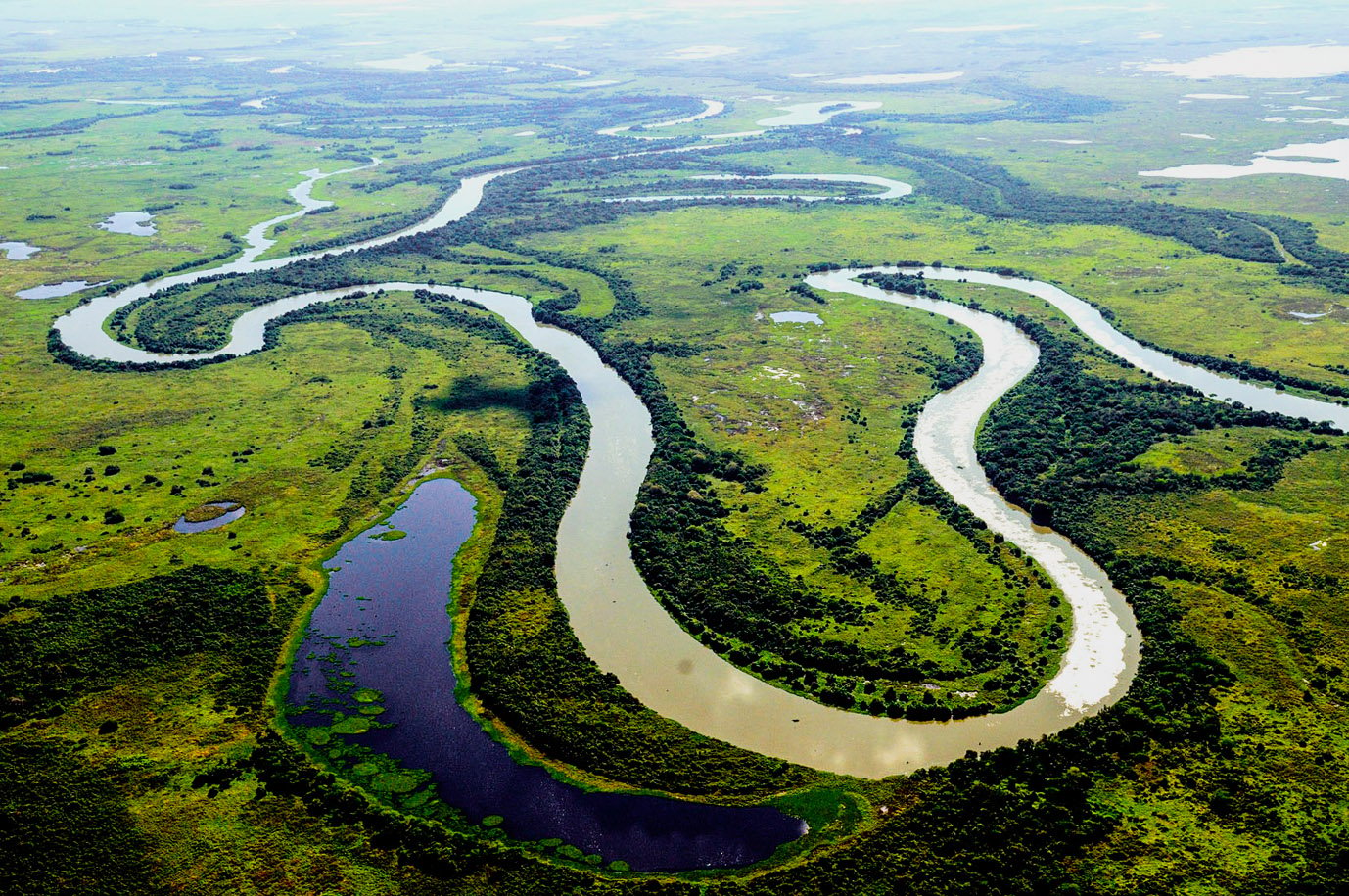 Pantanal Matogrossense