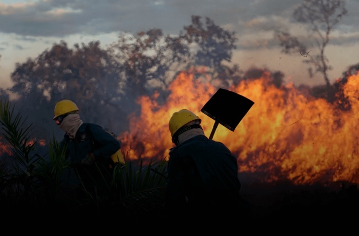 brigada aliança - divulgação - aliança da terra