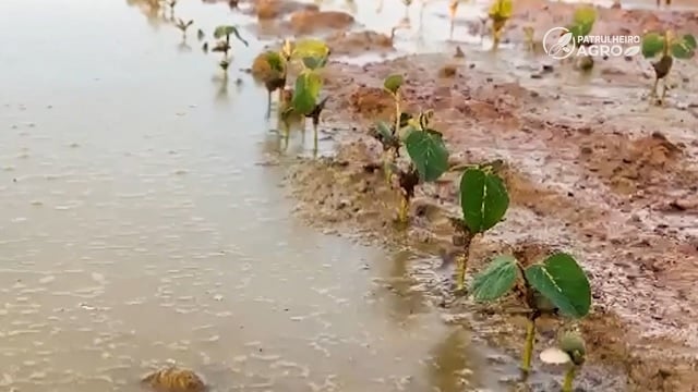 patrulheiro agro 59 paranatinga chuva mato grosso soja