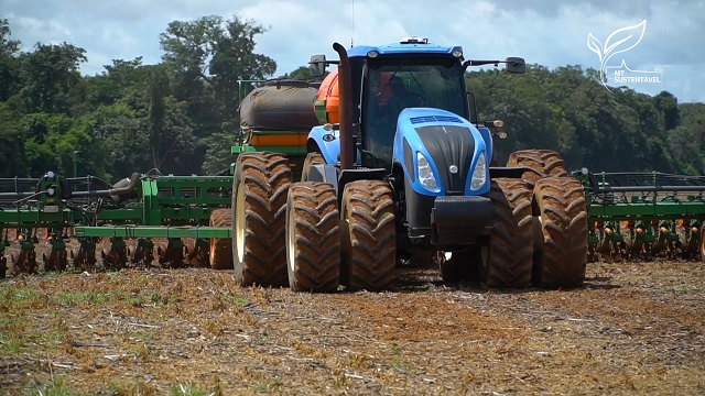 mt sustentável sucessão familiar plantio milho foto leandro balbino canal rural mato grosso2