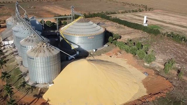 milho a céu aberto em armazéns de mato grosso foto canal rural mato grosso