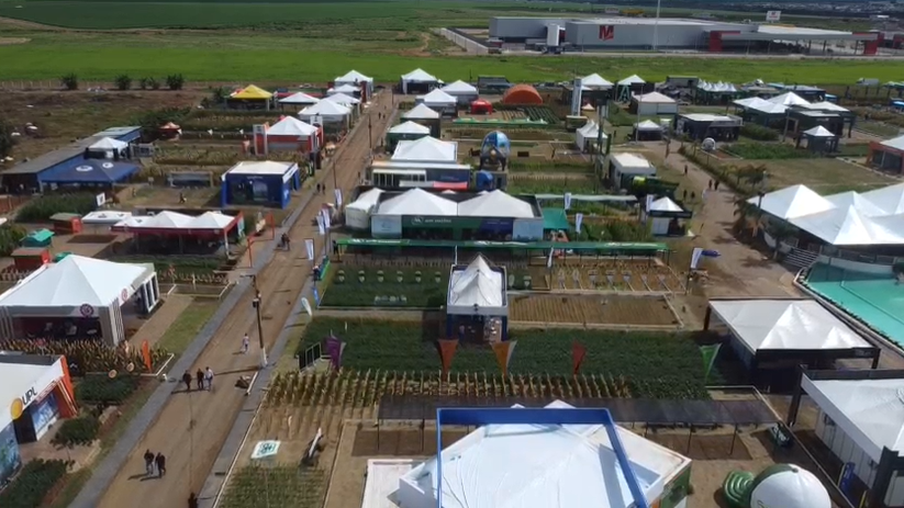 primevra do leste farm show mt