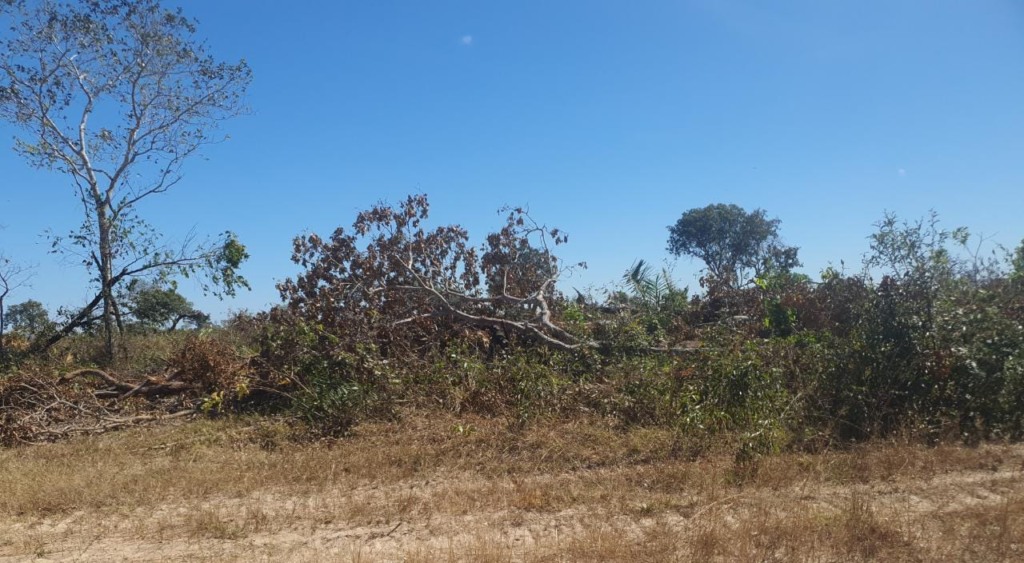 Desmatamento Ilegal Cocalinho Mato Grosso foto Sema-MT