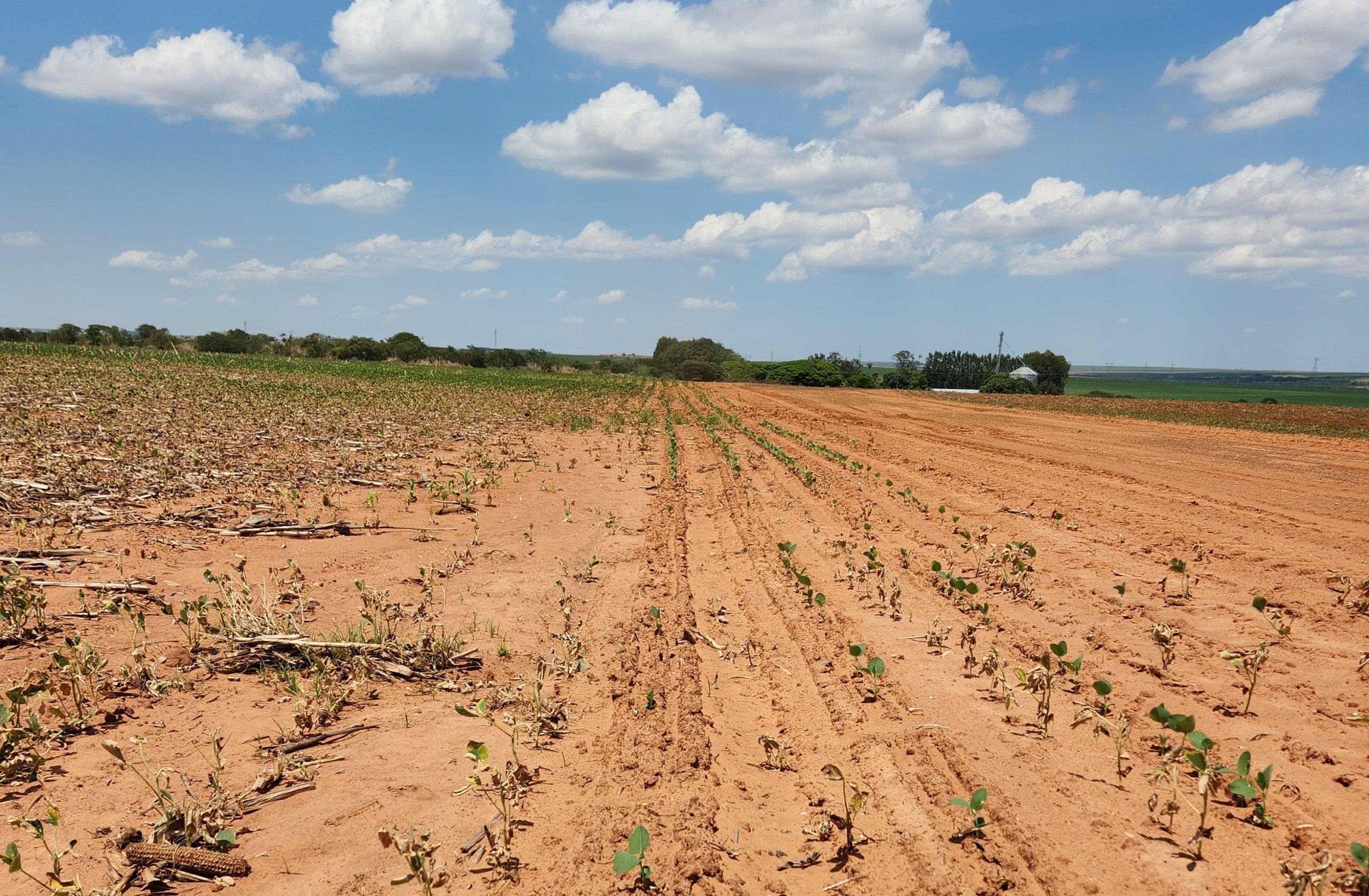 Plantio de soja atrasado em Mato Grosso Foto Aprosoja-MT